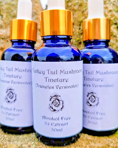 Turkey tail tincture - turkey,