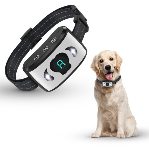Anti bark collar - bark, dogs