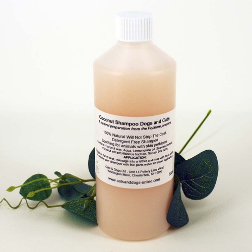 Coconut dog puppy shampoo - dog,
